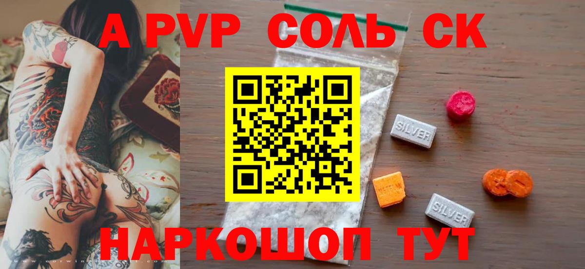 Альфа ПВП СК Санкт-Петербург